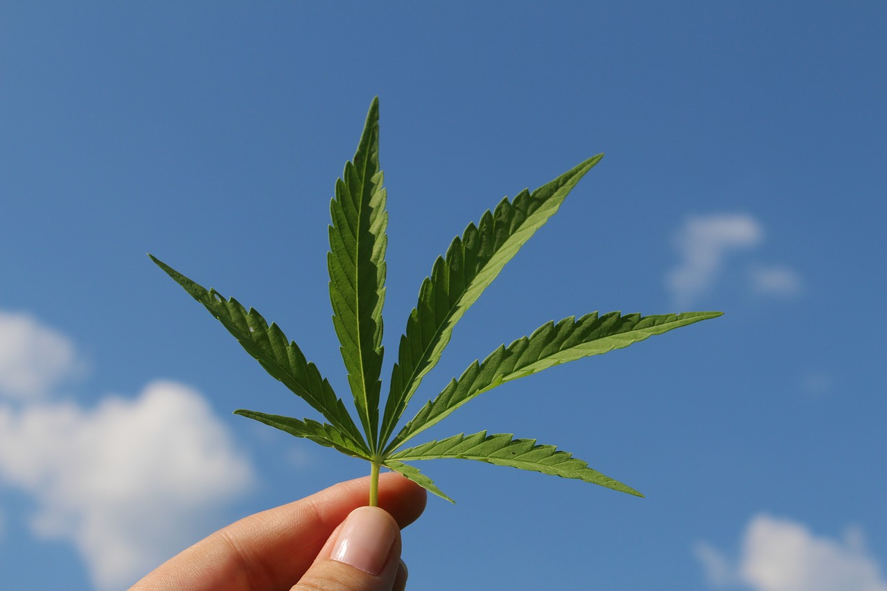 The right to privacy of using cannabis