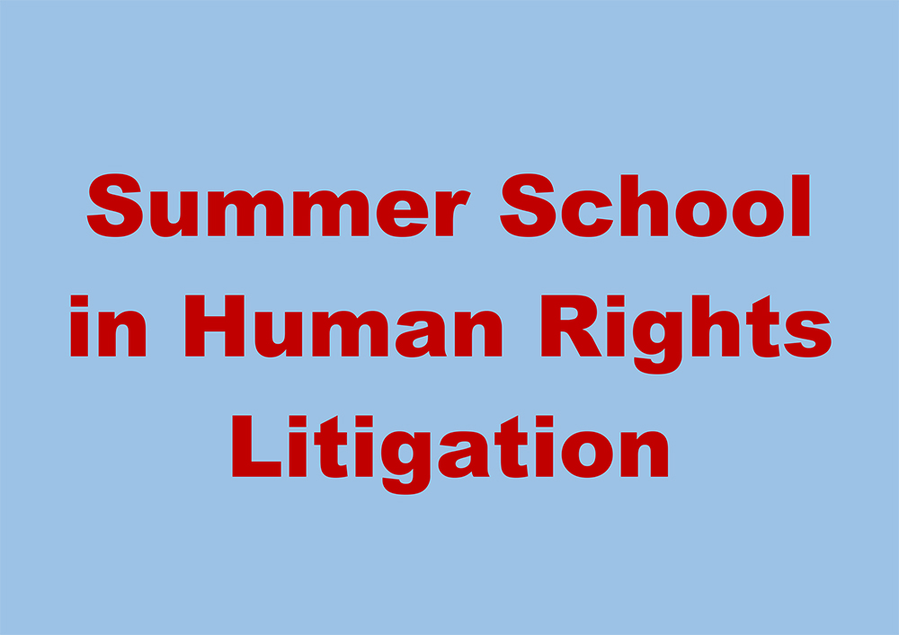 Summer School in Human Rights Litigation