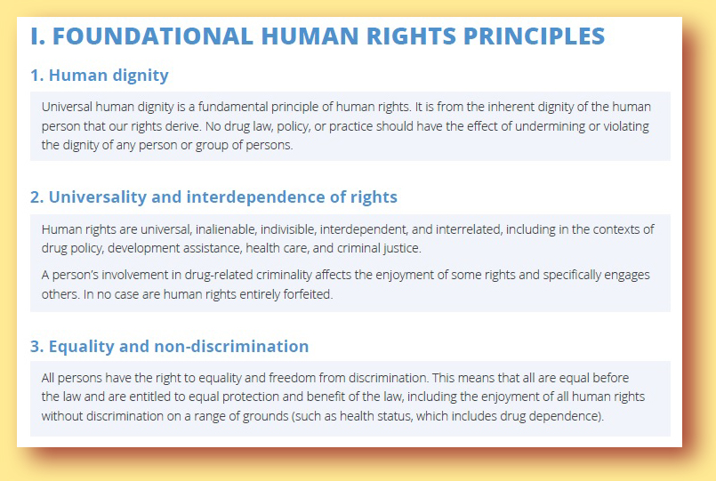 International Guidelines on Human Rights and Drug Policy