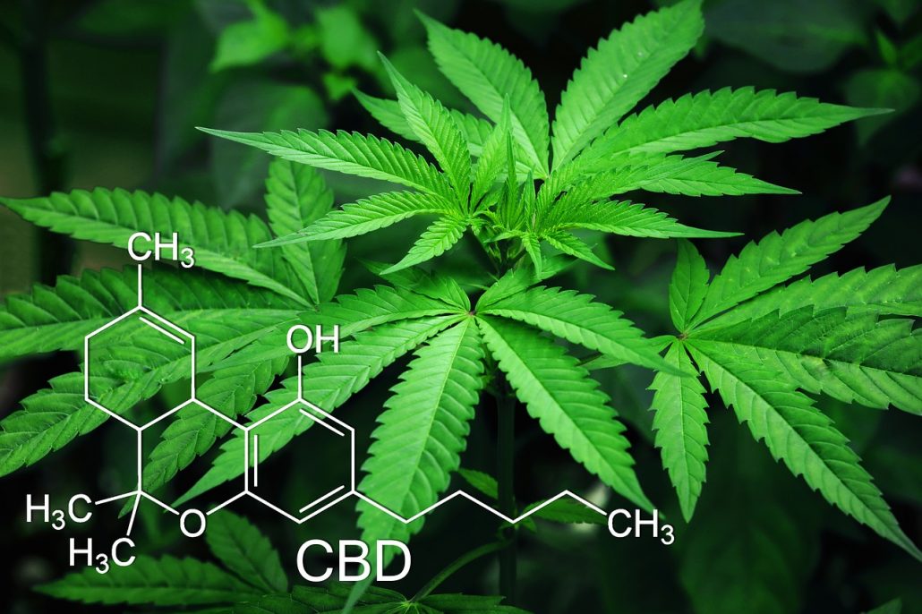 Research Publication on the Effectiveness of Cannabinoids on Glioblastoma