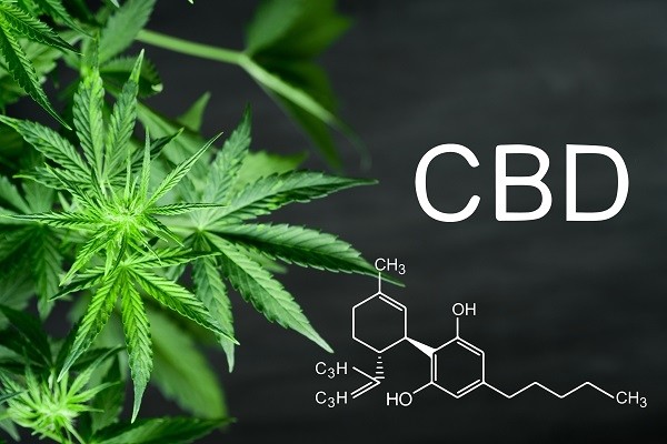 Cannabidiol (CBD) is not ‘narcotic drug’ under European law