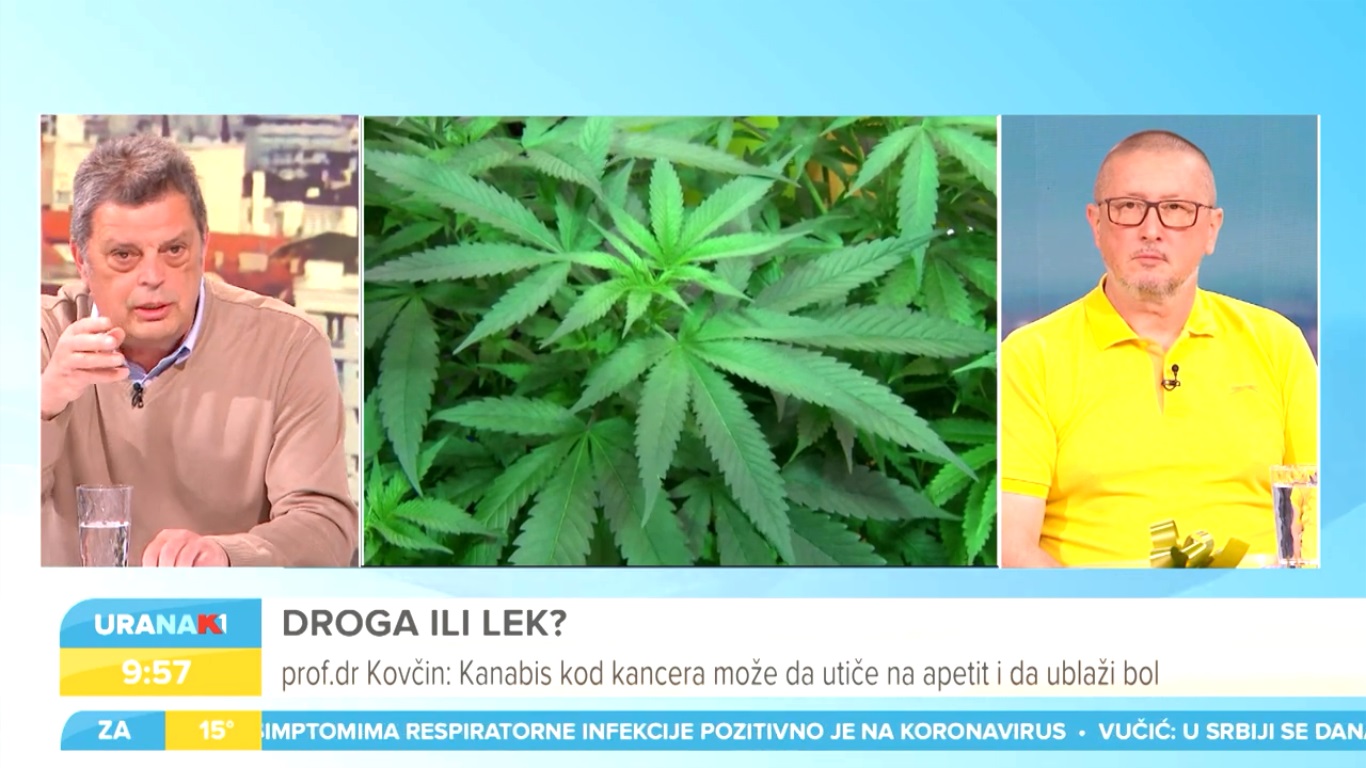Media coverage on cannabis regulation in Serbia