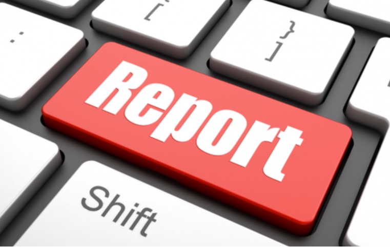 Interim report submitted