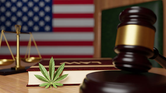 United States to pardon simple federal marijuana possession convictions